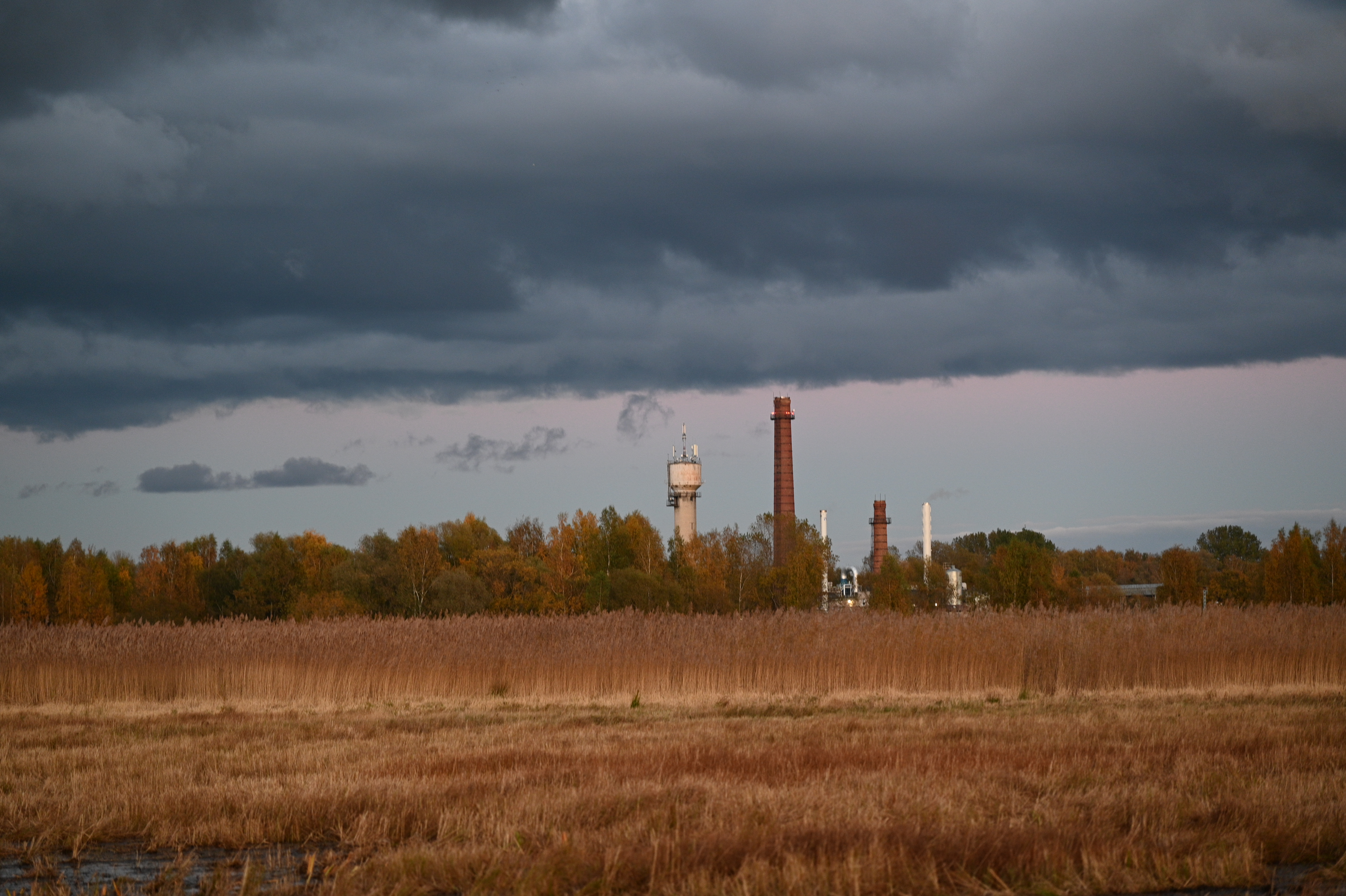 2025/10/18 - walk/DSC_0558.JPG